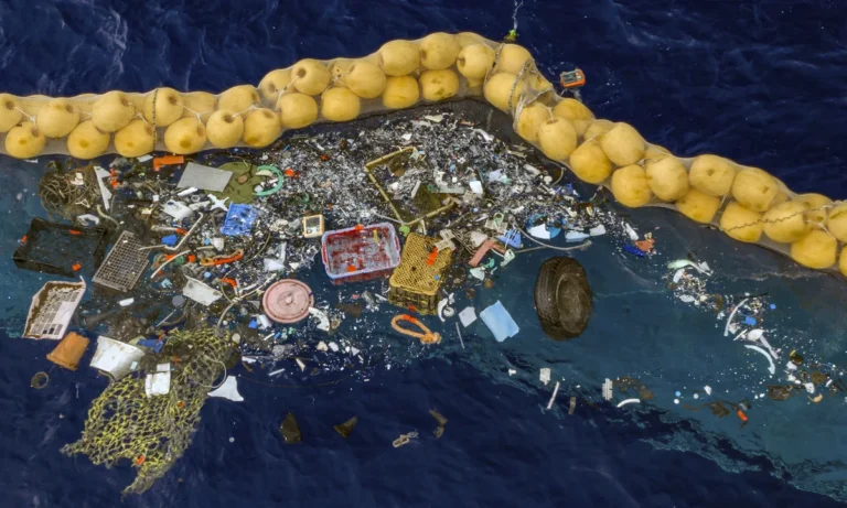 Bio -degradable plastic has been discovered in Japan