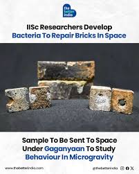 A microscopic view of IISc's special bacteria repairing a crack in a lunar brick, symbolizing self-healing technology